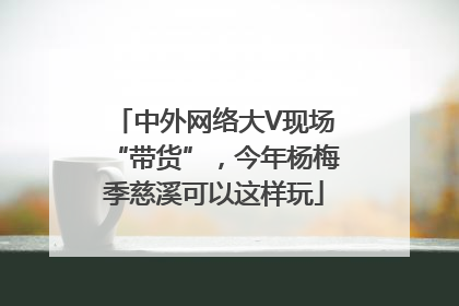 中外网络大V现场“带货”，今年杨梅季慈溪可以这样玩