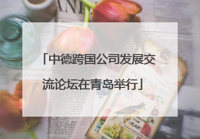 中德跨国公司发展交流论坛在青岛举行