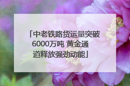 中老铁路货运量突破6000万吨 黄金通道释放强劲动能
