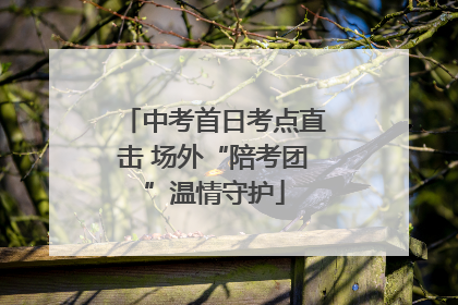 中考首日考点直击 场外“陪考团”温情守护
