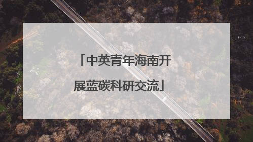 中英青年海南开展蓝碳科研交流