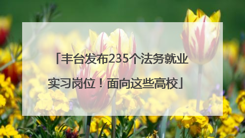 丰台发布235个法务就业实习岗位！面向这些高校