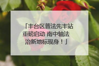 丰台区普法先丰站重磅启动 南中轴法治新地标现身！