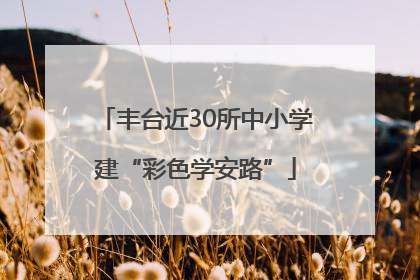 丰台近30所中小学建“彩色学安路”