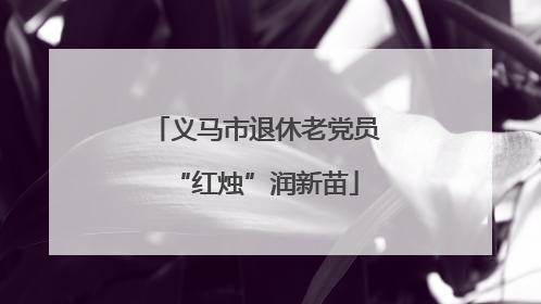 义马市退休老党员“红烛”润新苗