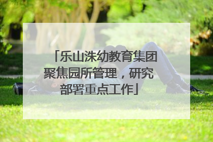 乐山洙幼教育集团聚焦园所管理，研究部署重点工作