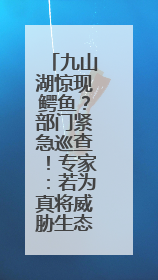 九山湖惊现鳄鱼？部门紧急巡查！专家：若为真将威胁生态与市民安全