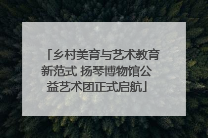 乡村美育与艺术教育新范式 扬琴博物馆公益艺术团正式启航