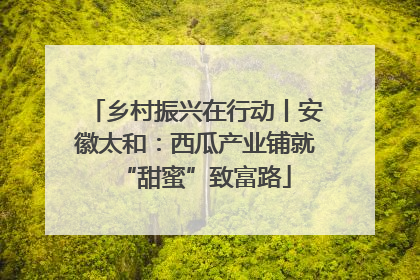 乡村振兴在行动丨安徽太和：西瓜产业铺就“甜蜜”致富路