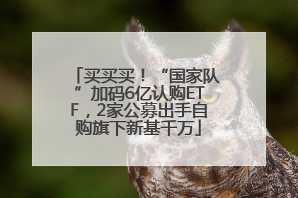 买买买！“国家队”加码6亿认购ETF，2家公募出手自购旗下新基千万