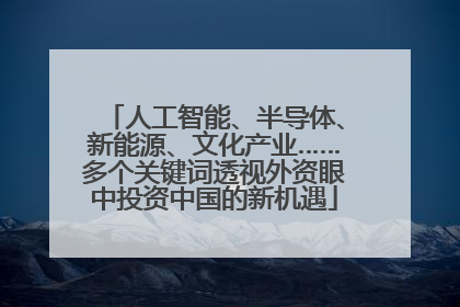 人工智能、半导体、新能源、文化产业……多个关键词透视外资眼中投资中国的新机遇