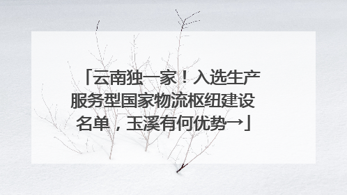 云南独一家！入选生产服务型国家物流枢纽建设名单，玉溪有何优势→