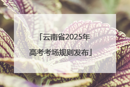 云南省2025年高考考场规则发布
