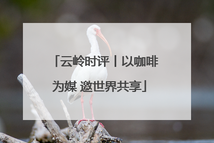 云岭时评丨以咖啡为媒 邀世界共享