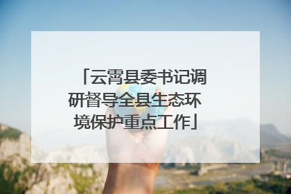 云霄县委书记调研督导全县生态环境保护重点工作