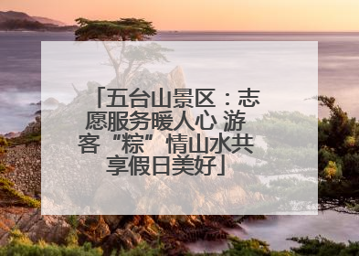 五台山景区：志愿服务暖人心 游客“粽”情山水共享假日美好