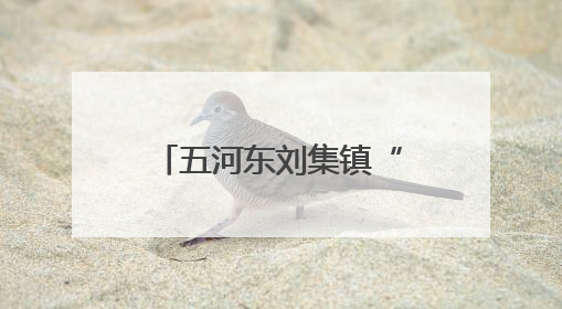 五河东刘集镇“党建红”引领“生态绿” 积分制赋能乡村治理
