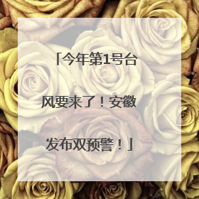 今年第1号台风要来了！安徽发布双预警！
