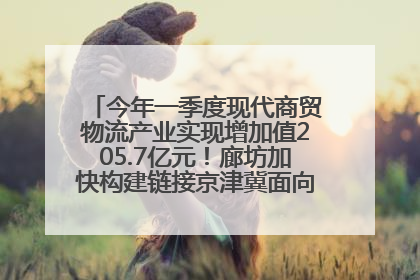 今年一季度现代商贸物流产业实现增加值205.7亿元！廊坊加快构建链接京津冀面向全世界的物流通道