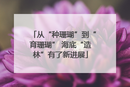 从“种珊瑚”到“育珊瑚” 海底“造林”有了新进展