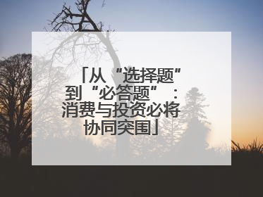 从“选择题”到“必答题”：消费与投资必将协同突围