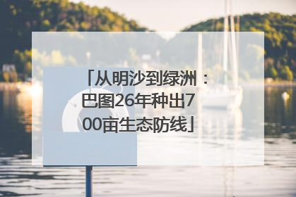 从明沙到绿洲：巴图26年种出700亩生态防线