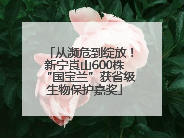 从濒危到绽放！新宁崀山600株“国宝兰”获省级生物保护嘉奖