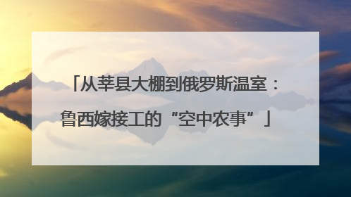 从莘县大棚到俄罗斯温室：鲁西嫁接工的“空中农事”