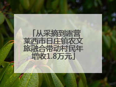 从采摘到露营 莱西市日庄镇农文旅融合带动村民年增收1.8万元