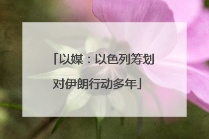 以媒：以色列筹划对伊朗行动多年