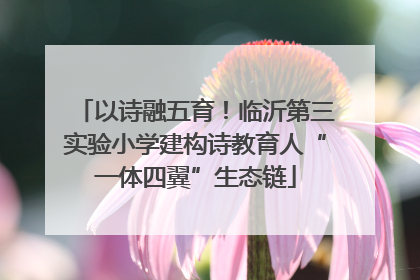以诗融五育！临沂第三实验小学建构诗教育人“一体四翼”生态链