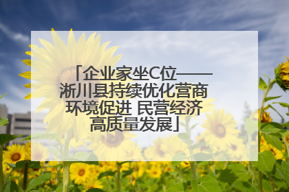 企业家坐C位——淅川县持续优化营商环境促进 民营经济高质量发展