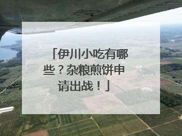 伊川小吃有哪些？杂粮煎饼申请出战！