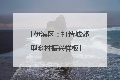 伊滨区：打造城郊型乡村振兴样板