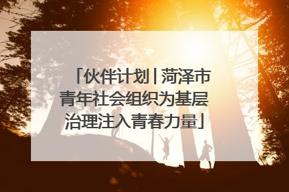 伙伴计划│菏泽市青年社会组织为基层治理注入青春力量