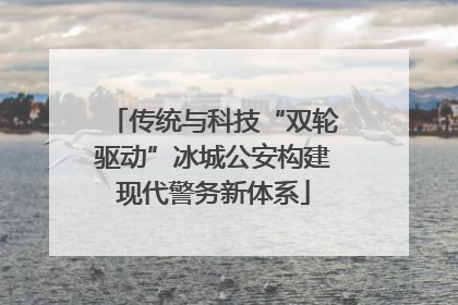 传统与科技“双轮驱动”冰城公安构建现代警务新体系