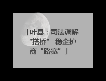 叶县：司法调解“搭桥” 稳企护商“路宽”