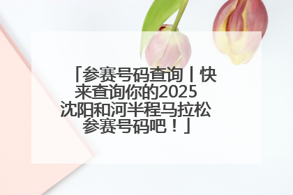 参赛号码查询丨快来查询你的2025沈阳和河半程马拉松参赛号码吧！