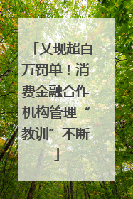 又现超百万罚单！消费金融合作机构管理“教训”不断