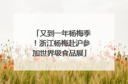 又到一年杨梅季！浙江杨梅赴沪参加世界级食品展