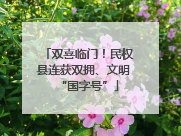 双喜临门！民权县连获双拥、文明“国字号”