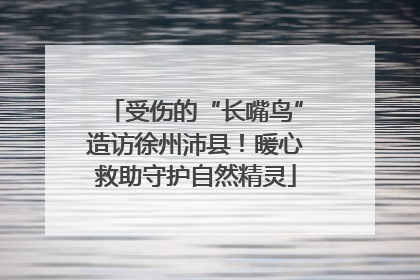 受伤的“长嘴鸟”造访徐州沛县！暖心救助守护自然精灵