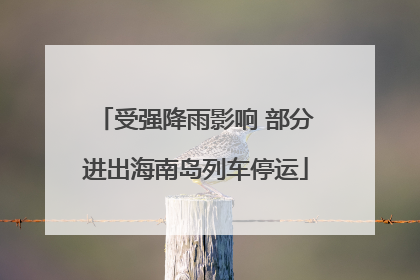 受强降雨影响 部分进出海南岛列车停运