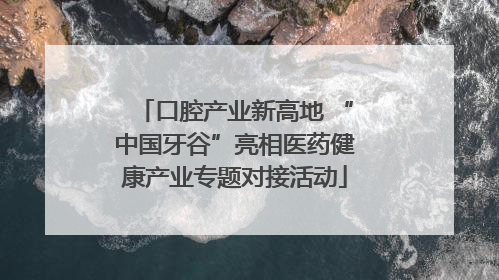 口腔产业新高地 “中国牙谷”亮相医药健康产业专题对接活动