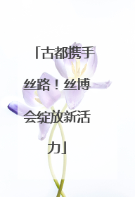 古都携手丝路！丝博会绽放新活力