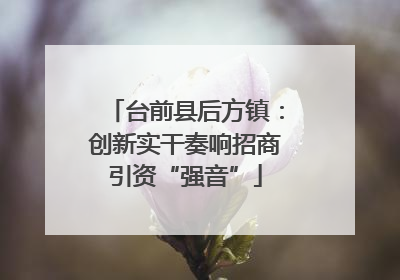 台前县后方镇：创新实干奏响招商引资“强音”