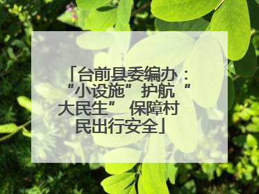 台前县委编办：“小设施”护航“大民生” 保障村民出行安全