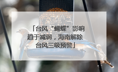 台风“蝴蝶”影响趋于减弱，海南解除台风三级预警