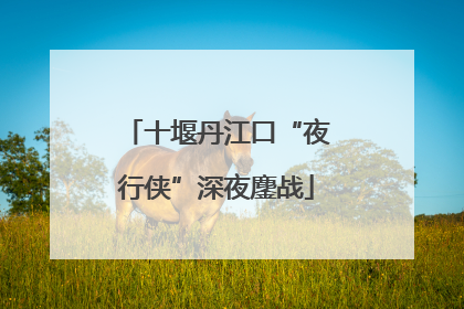 十堰丹江口“夜行侠”深夜鏖战