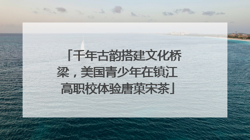 千年古韵搭建文化桥梁，美国青少年在镇江高职校体验唐菓宋茶